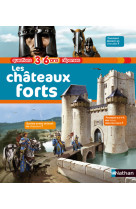 Chateaux forts