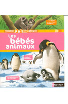 Bebes animaux