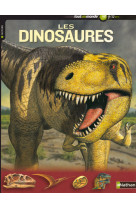 Dinosaures