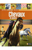 Chevaux et poneys