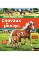 Chevaux et poneys