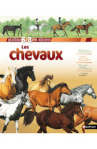 Les chevaux