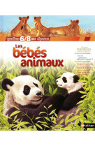 Bebes animaux