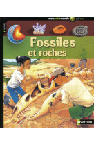 Fossiles et roches