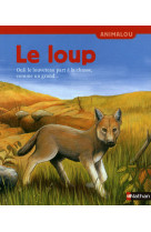 Loup