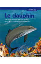 Dauphin