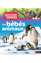 N09 - les bebes animaux - questions/reponses 4/6 ans