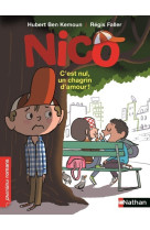 Nico c'est nul, un chagrin d'amour !