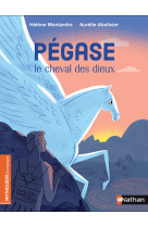 Pégase, le cheval des dieux