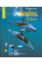 Dauphins en liberte