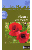 Fleurs des champs