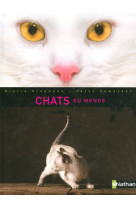 Chats du monde