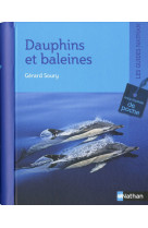 Dauphins et baleines