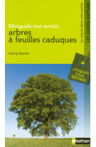 Arbres a feuilles caduques