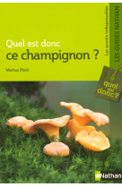 Quel est donc ce champignon