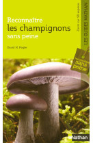 Reconnait champignons ss peine