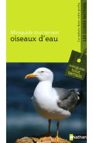 Oiseaux d'eau