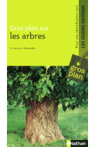 Gros plan sur les arbres