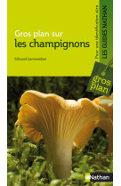 Champignons