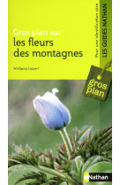 Fleurs des montagnes