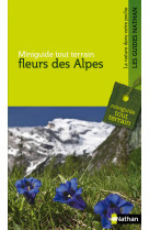 Fleurs des alpes