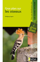 Gros plan sur les oiseaux