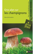 Gp les champignons