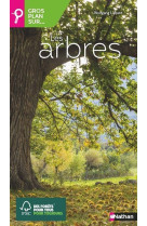 Gros plan sur... les arbres