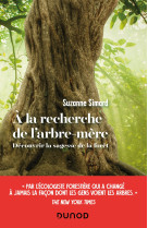 A la recherche de l'arbre-mère