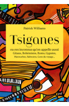 Tsiganes, ou ces inconnus qu'on appelle aussi gitans, bohémiens, roms, gypsies, manouches, rabouins, gens du voyage...