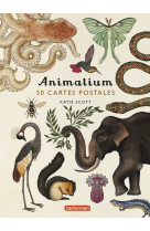 Animalium