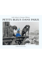 Petits bleus dans paris