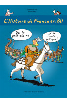 L'histoire de france en bd - tome 1 - de la préhistoire ? à la gaule celtique !