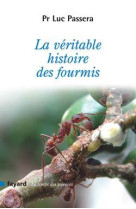 La véritable histoire des fourmis