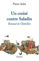 Un croisé contre saladin