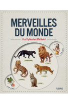 Merveilles du monde en 45 planches illustrees