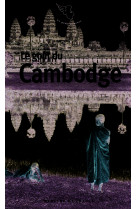 Le goût du cambodge