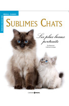 Sublimes chats - les plus beaux portraits