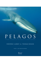 Pelagos. voyage naturaliste au large de la mediterranee