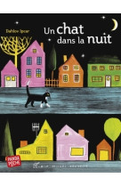 Un chat dans la nuit (panda poche)