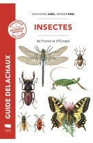 Insectes de france et d'europe